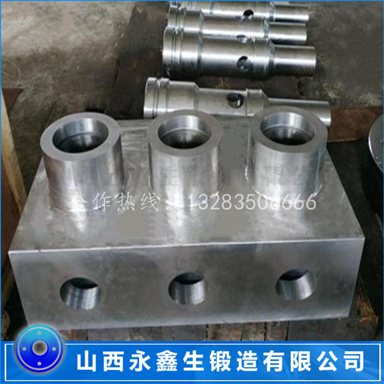 泵機(jī)組鍛件